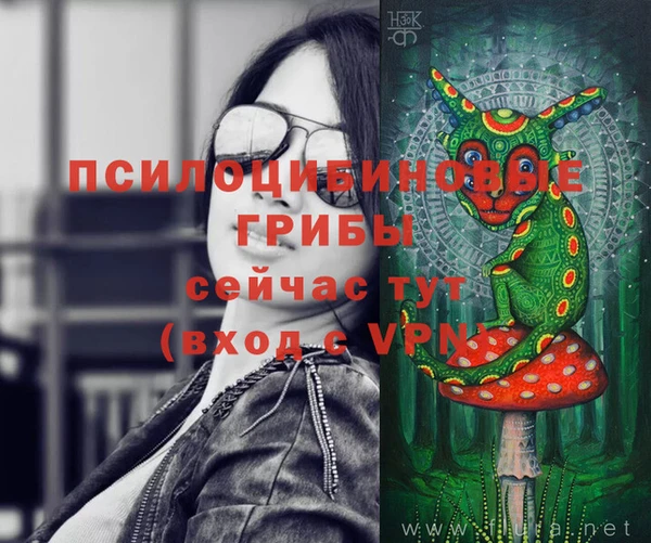 ГАЛЛЮЦИНОГЕННЫЕ ГРИБЫ Навашино