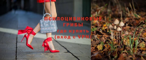 ГАЛЛЮЦИНОГЕННЫЕ ГРИБЫ Навашино
