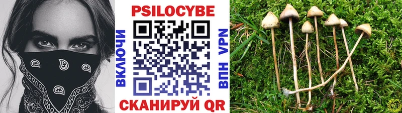 Псилоцибиновые грибы мухоморы  Купить закладки  Юрьевец 